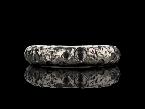 Moon ring model 832 3D Print Model