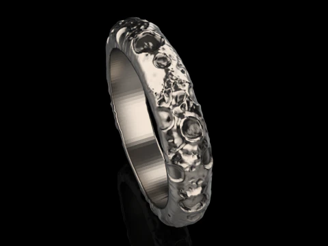 Moon ring model 832 3D Print Model