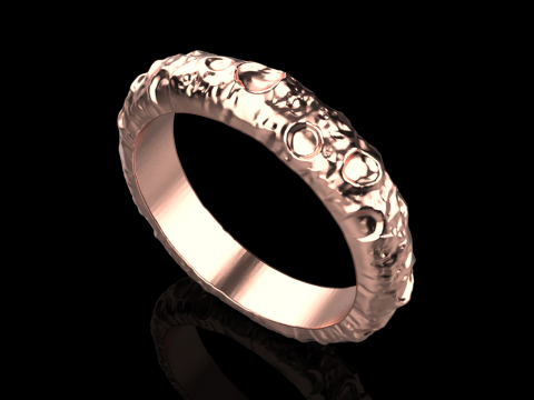 Moon ring model 832 3D 打印模型