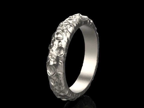 Moon ring model 832 3D Print Model