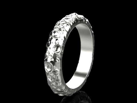 Moon ring model 832 3D 打印模型