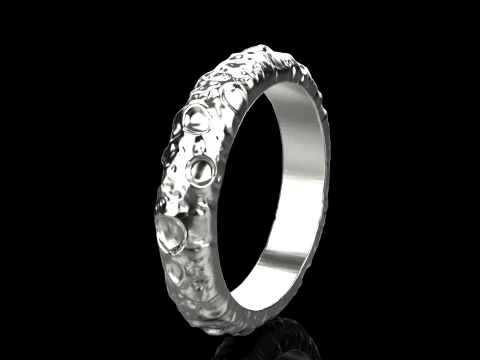 Moon ring model 832 3D Print Model