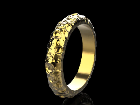 Moon ring model 832 3D Print Model