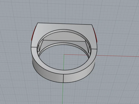 Signet ring save and protect model 830 3D Print Model