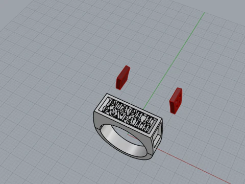 Signet ring save and protect model 830 3D Print Model