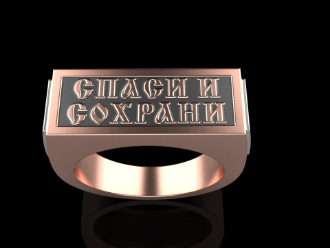 Signet ring save and protect model 830 3D Принт Модель