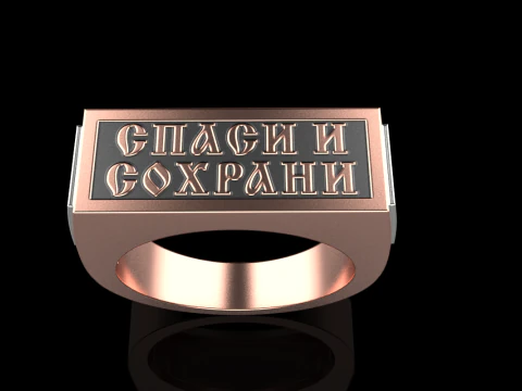 Signet ring save and protect model 830 3D Print Model