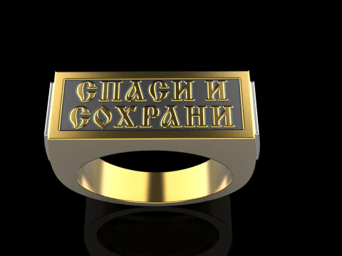 Signet ring save and protect model 830 3D Print Model