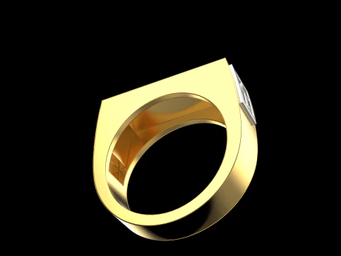 Signet ring save and protect model 830 3D Print Model