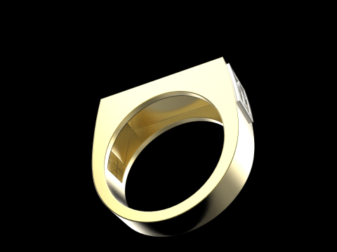 Signet ring save and protect model 830 3D Принт Модель