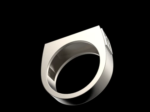 Signet ring save and protect model 830 3D Print Model