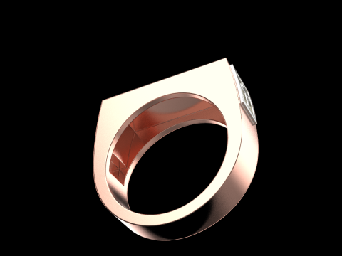 Signet ring save and protect model 830 3D Принт Модель