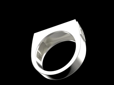 Signet ring save and protect model 830 3D Print Model