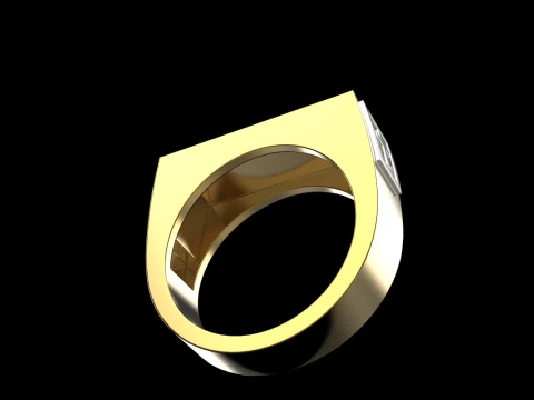 Signet ring save and protect model 830 3D Print Model