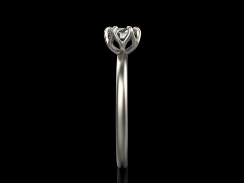 Engagement ring model 820 3D Print Model