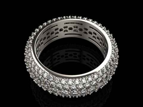 Ehering Modell 798 3D Druckmodell