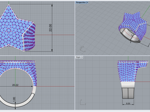 Stern-Siegelring Modell 797 3D Druckmodell