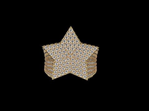 Stern-Siegelring Modell 797 3D Druckmodell