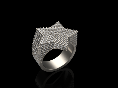 Stern-Siegelring Modell 797 3D Druckmodell