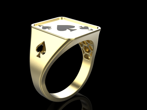 Card ring model 796 3D Print Model
