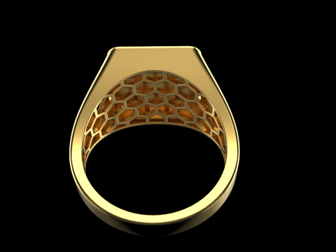 Card ring model 796 3D Print Model