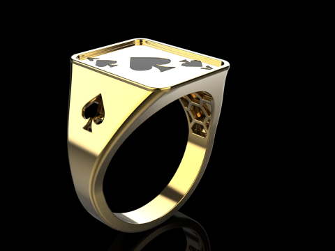 Card ring model 796 3D Print Model