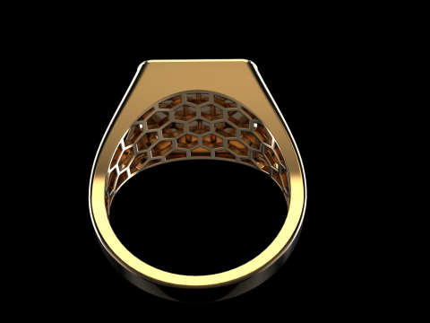 Card ring model 796 3D Print Model