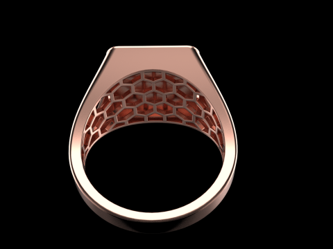 Card ring model 796 3D Print Model