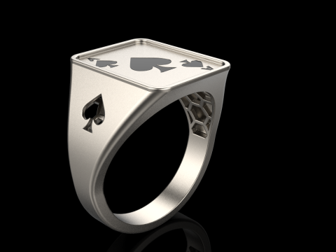 Card ring model 796 3D Print Model