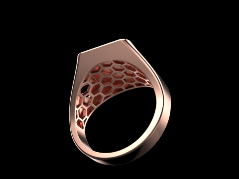 Card ring model 795 3D Print Model