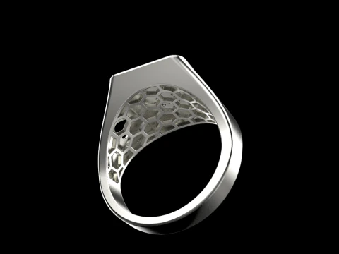 Card ring model 795 3D Print Model