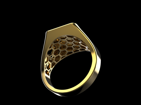 Card ring model 795 3D Print Model