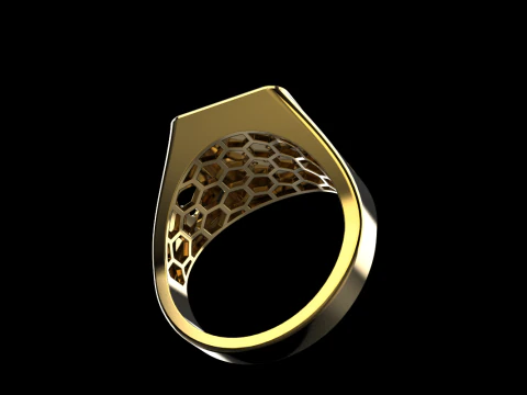 Card ring model 795 3D Print Model
