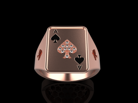 Card ring model 795 3D Print Model