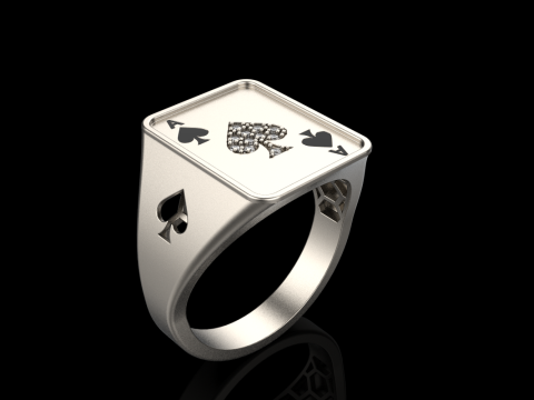 Card ring model 795 3D Print Model