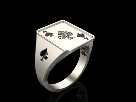 Card ring model 795 3D Print Model