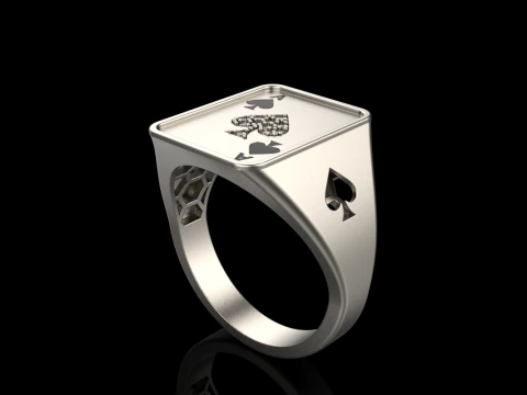 Card ring model 795 3D Print Model