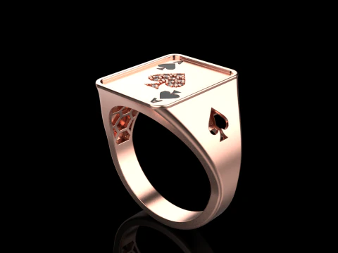 Card ring model 795 3D Print Model