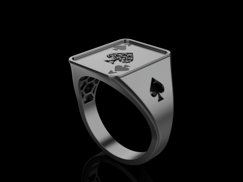 Card ring model 795 3D Print Model