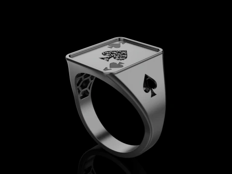 Card ring model 795 3D Print Model