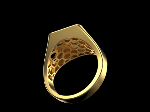 Card ring model 795 3D Print Model