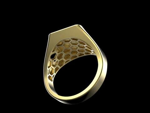 Card ring model 795 3D Print Model