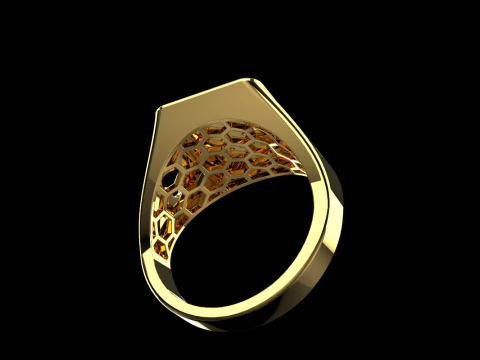 Card ring model 795 3D Print Model