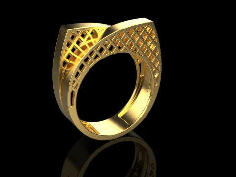 Ring model 794 3D Print Model