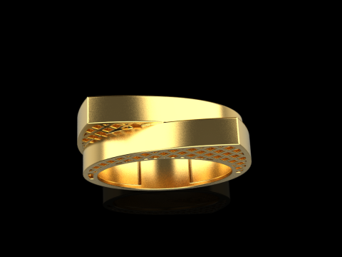 リングモデル 794 3Dプリントモデル