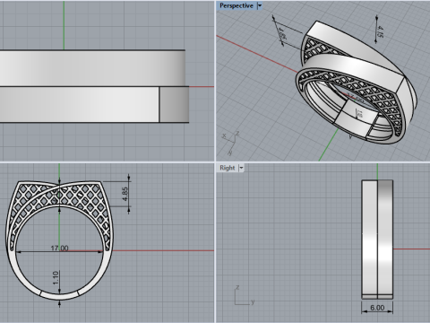 リングモデル 794 3Dプリントモデル