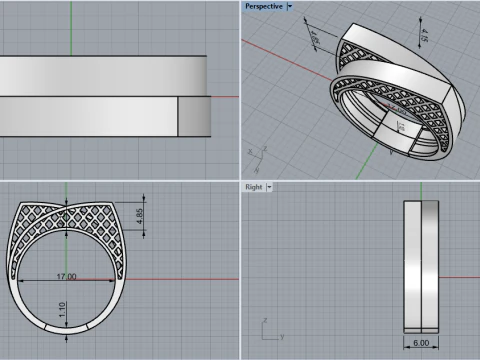 Ring model 794 3D Print Model