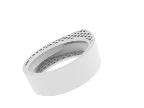 リングモデル 794 3Dプリントモデル