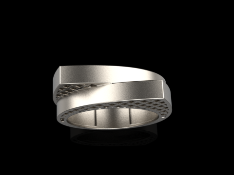 リングモデル 794 3Dプリントモデル