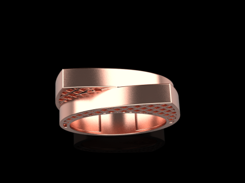 リングモデル 794 3Dプリントモデル